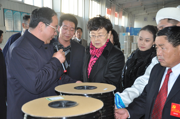 尊龙抖圈 - 为du而生