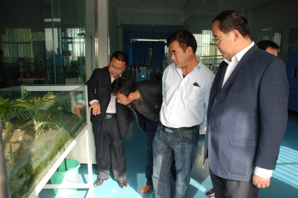 尊龙抖圈 - 为du而生