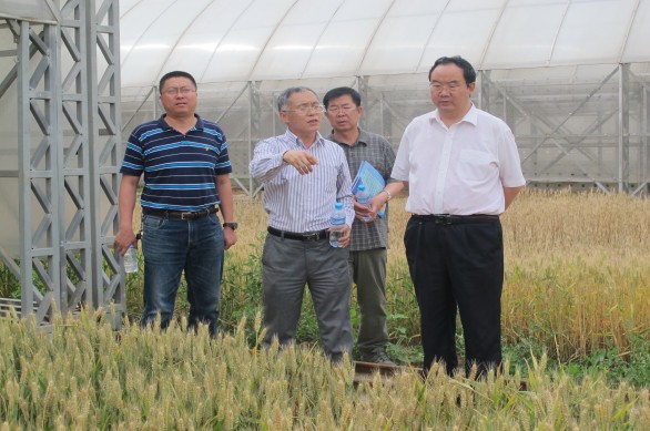 尊龙抖圈 - 为du而生