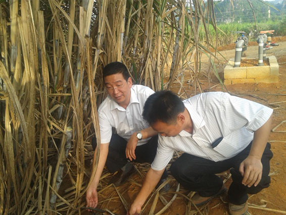 尊龙抖圈 - 为du而生