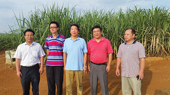 尊龙抖圈 - 为du而生