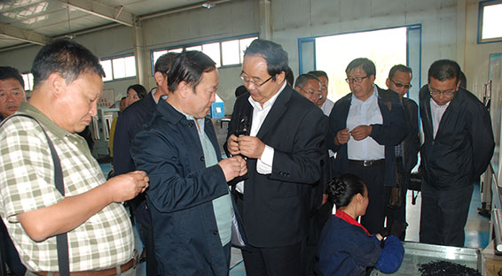 尊龙抖圈 - 为du而生