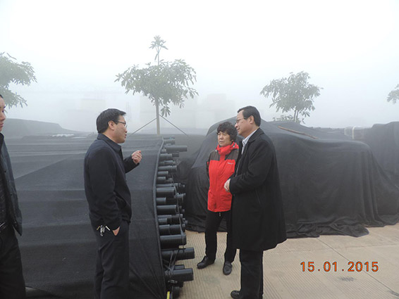 尊龙抖圈 - 为du而生