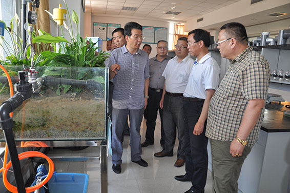 尊龙抖圈 - 为du而生