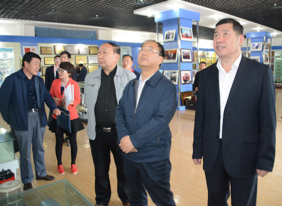 尊龙抖圈 - 为du而生