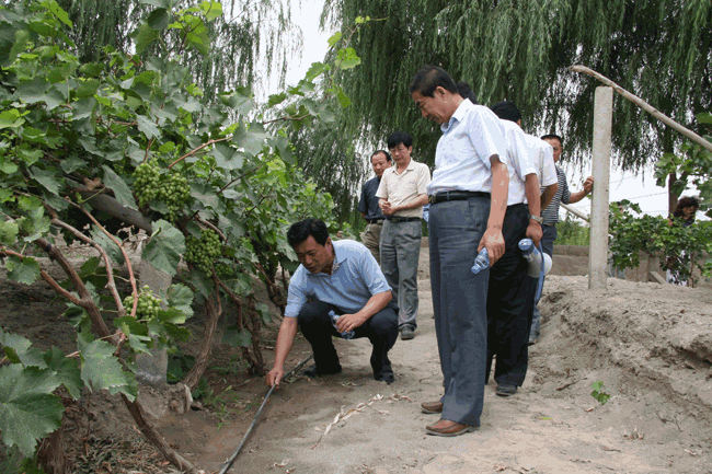 尊龙抖圈 - 为du而生