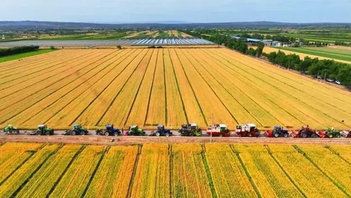  陕西省合阳县深化农业水价综合刷新推进现代化灌区建设试点项..