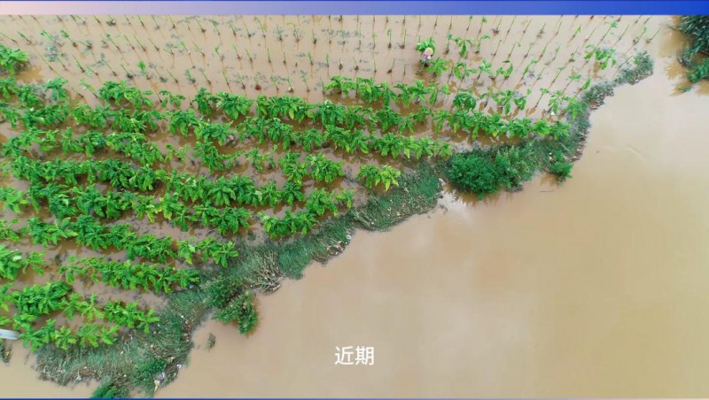 尊龙抖圈官网节水：严阵以待，，，，，共筑防汛抗旱屏障