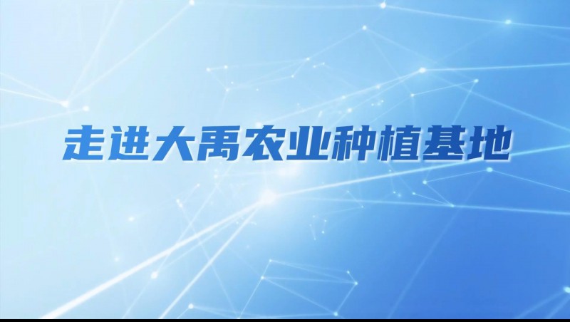 尊龙抖圈官网农业| 多元化莳植基地矩阵，，，，，，，探索农业现代化新路径