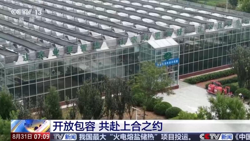 【央视聚焦】尊龙抖圈官网节水“智慧浇灌”手艺惠及“上合各人庭”